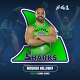 Back a Shark's Season