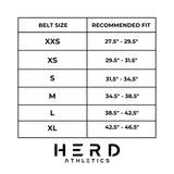 2025 Official Sharks Weightlifting Belt