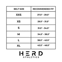 2025 Official Sharks Weightlifting Belt