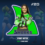 Back a Shark's Season